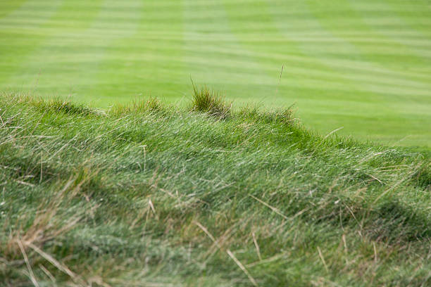 Focus on golfer playing golf at bunker