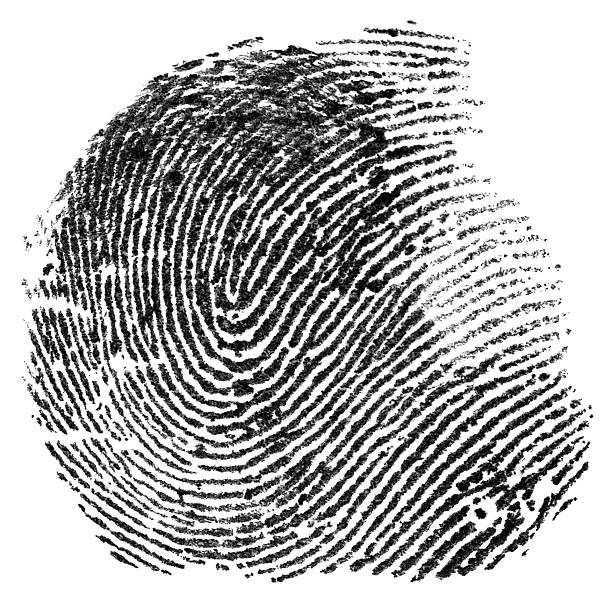 istock Single black fingerprint made with ink isolated on a white background. Criminology, forensic science. 2208840077