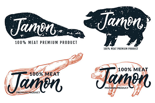 Delicious iberian pork leg and pig, labels signs set isolated on white background. Jamon hand drawn calligraphy lettering. Vector sketch illustration. Spanish product package vintage design element