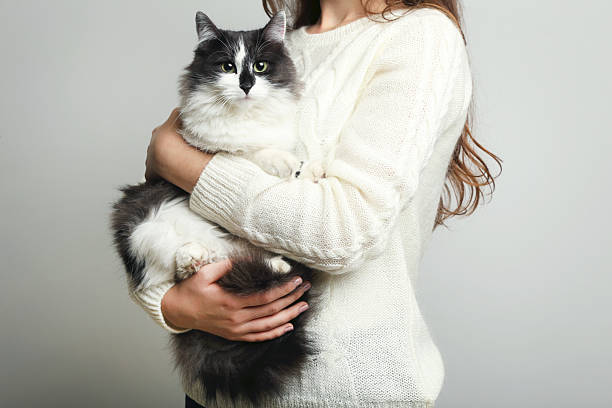 istock Young woman holding cat on grey background 2208847272