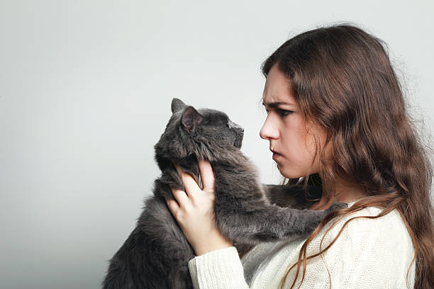 istock Beautiful young woman holding cat on grey background 2208848605