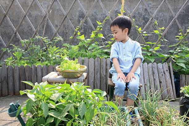 An Asian boy，playing， garden