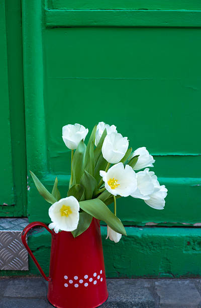 Paris, France: White Tulips, Red Vase, Green Background Still Life.