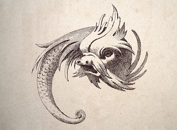 Medieval representation of Dolphin, Drawing, Sculpture, decorative art, Vintage illustration, 19th Century
