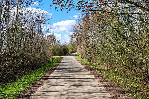 istock Narrow paved road going through countryside landscape in early spring 2208857036