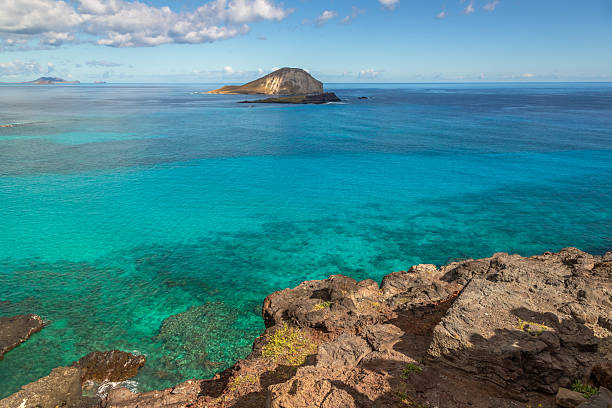 istock View from Makapu Lookout 2208857610