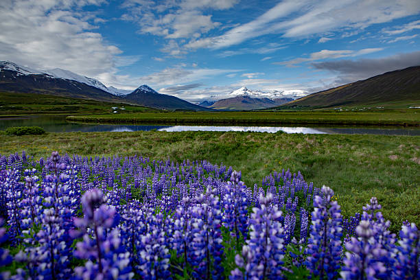 istock Beautiful nature landscape in Iceland during summer. 2208857702