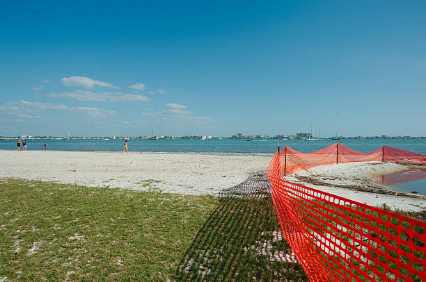 Section of beach and water cordoned off with a bright orange safety fence. A coastal environment featuring a red safety fence by the water, shielding restored land, under a clear blue sky, demonstrating environmental restoration and safety measures. View out over Boca Ciega Bay Gulfport, Florida gulfport florida photos stock pictures, royalty-free photos & images