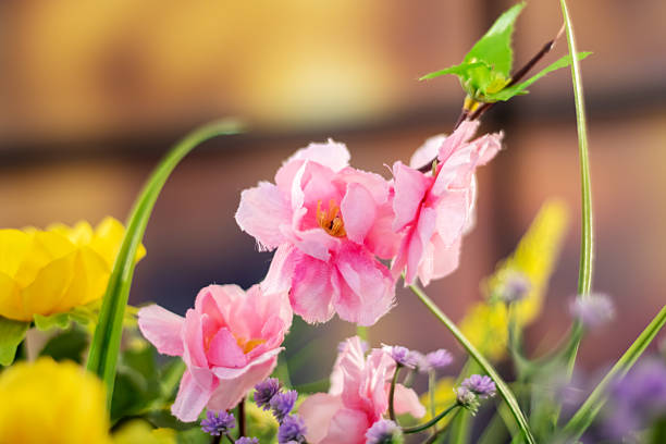 A cluster of vibrant pink flowers with glistening water droplets on their petals, blooming on a twig of a flowering plant in a garden