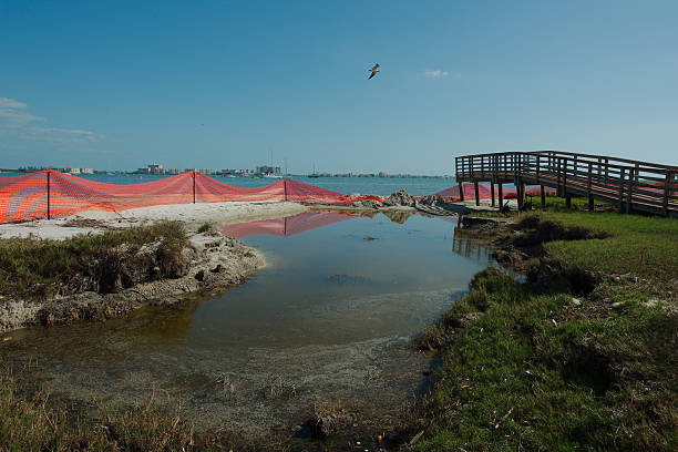 Beach front Renourishment Area With Red Fence and Pedestrian Bridge. A coastal environment featuring a red safety fence by the water, shielding restored land, with a wooden footbridge under a clear blue sky, demonstrating environmental restoration and safety measures. View out over Boca Ciega Bay Gulfport, Florida gulfport florida photos stock pictures, royalty-free photos & images