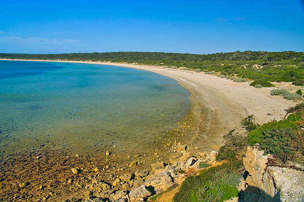 istock Half moon bay with a deserted beach on Eyre Peninsula, South Australia. 2208864989