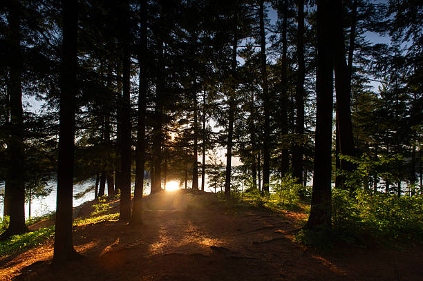 istock Sunset Over Calm Lake with Canoe Passing Through Trees 2208865090