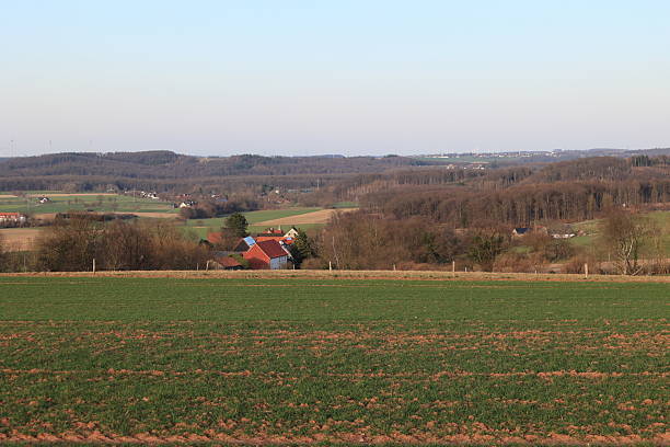 Scenic view of rolling green fields and trees on a sunny summer day