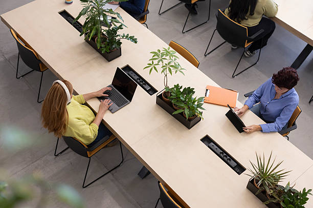 istock Multiracial and multigenerational colleagues working in modern coworking space 2208866678