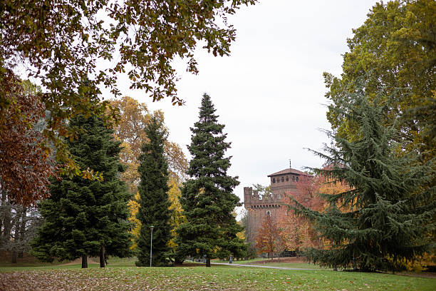park