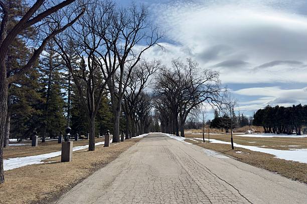 istock alley in the park early spring blue sky 2208871001