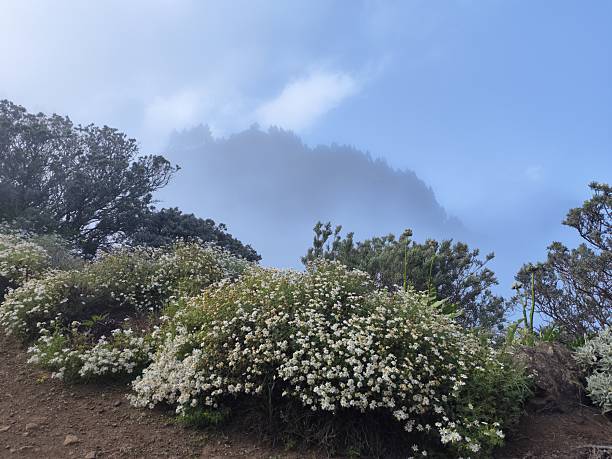 caldera de los Marteles