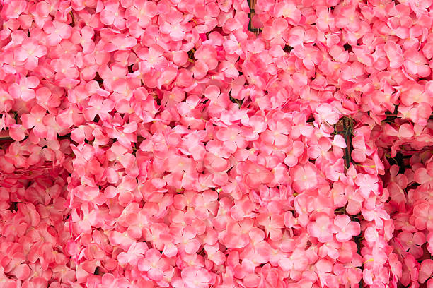 Background of numerous small artificial pink flowers. Beautiful texture for festive or spring-themed design.