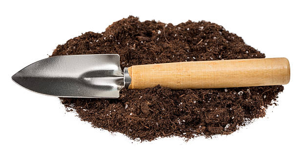 girl holding a garden shovel in her hands on which the frame is focused, gardening and caring for the environment