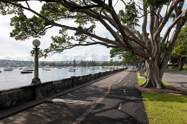 istock Rose Bay waterfront, Sydney, Australia 2208875534