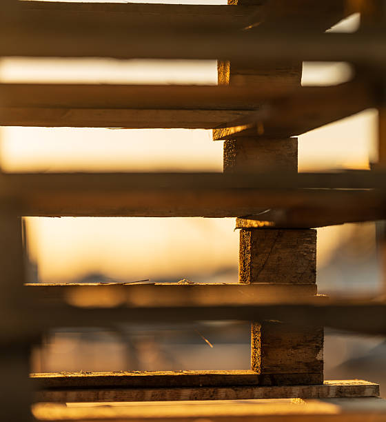 istock stacked wooden pallets with sunset glow.. 2208876471