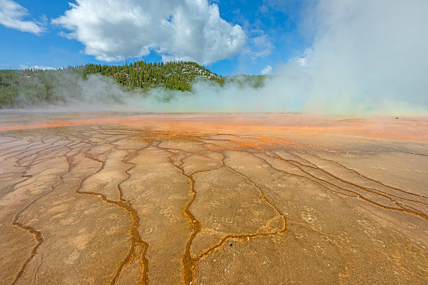 Grand Prismatic Spring with Steam Rising from the Surface in Yellowstone National Park in Wyoming