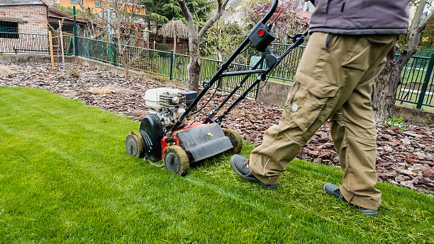 istock Man trimming grass with trimmer on lawn. Lawn mowing. Spring gardening 2208879084