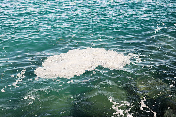 Image depicting an area of ​​pollution in the Mediterranean Sea