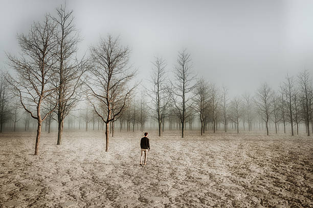 wonderful path in the beautiful landscape