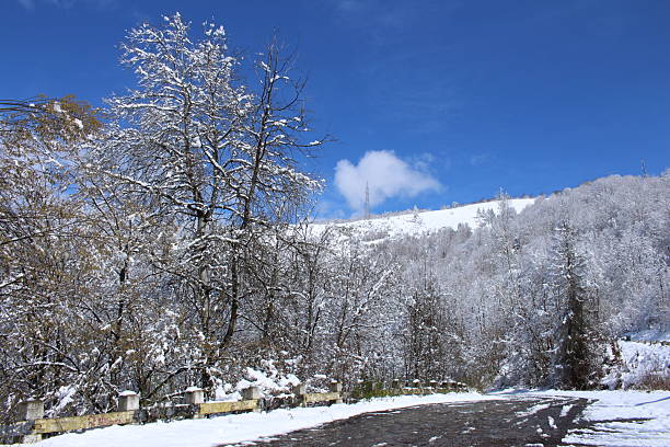 A snowy landscape with trees and a road with a blue sky. Snow. Outdoor. Tree. Sky. Skiing