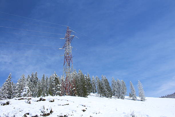 Power lines in the snow. Snow. Outdoor. Sky. Tree. Ski tow