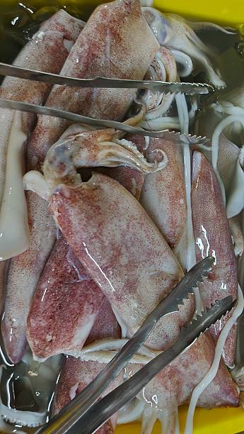 istock Fresh squid in the tray stock photo 2208898453