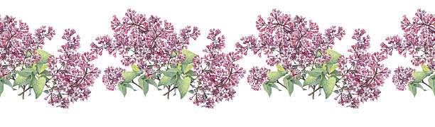 istock Watercolor seamless border with lilac on white background. Spring purple flower and green leaves for wedding celebration and frame. Botanical summer rim for wrapping or wallpaper and sketchbook 2208900371