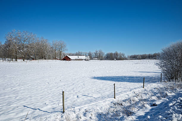 istock Snow-Covered Field with Red Barn and Frosty Trees Under a Clear Winter Sky 2208907022