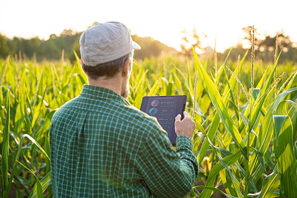 istock Smart Farming. Farmer Uses Agro App on Tablet in Corn Field at Sunset. 2208910765