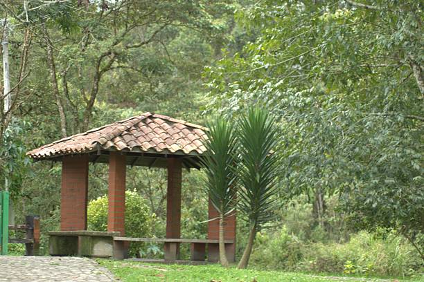 istock Flora y fauna Colombiana 2208911733