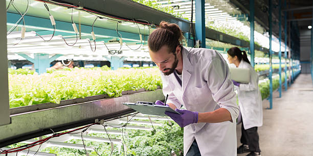 istock Scientist wear white uniform working in organic. Scientist analyzes and studies research in organic, hydroponic vegetables plots growing on indoor vertical farm 2208923967