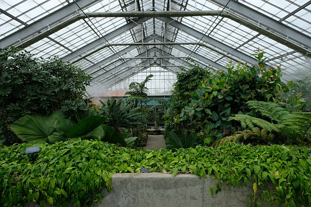 istock greenhouse of Matthaei Botanical Gardens 2208924866