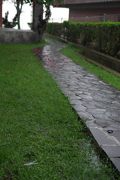 Fallen pink petals rest delicately on a wet flagstone path winding through a verdant residential or resort garden. This serene scene captures the quiet beauty of a landscaped outdoor space, possibly after rainfall, showcasing lush grass, manicured hedges, and the gentle cycle of nature within a peaceful setting.