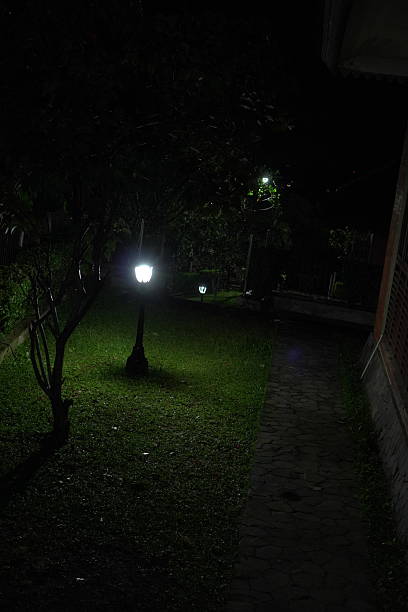 istock A single glowing lamppost pierces the deep darkness of a park at night 2208927730