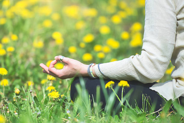 istock Yoga exercises in the lawn 2208934159