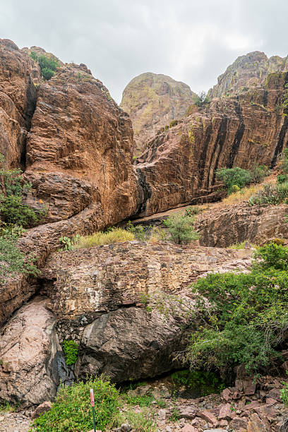 istock Organ Mountains-Desert Peaks National Monument 2208937642