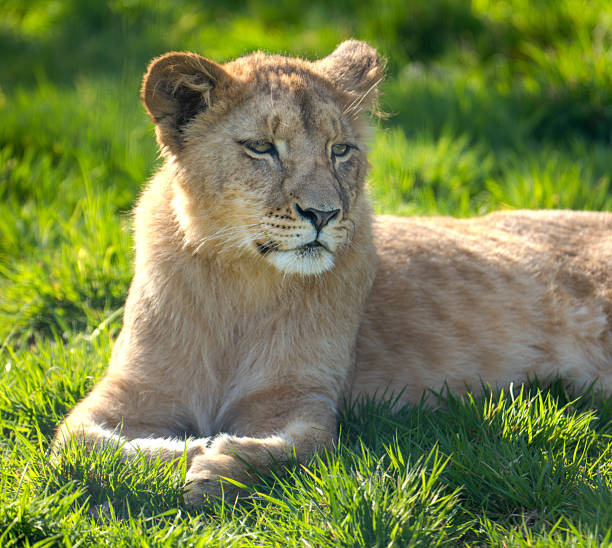 Taken in the Okavango Delta, Botswana