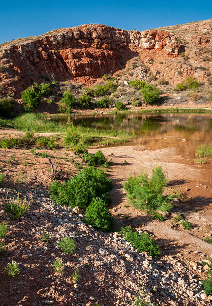 istock Bottomless Lakes State Park in New Mexico 2208945748