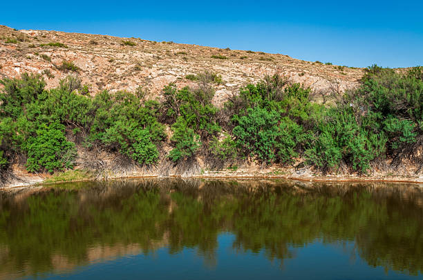 istock Bottomless Lakes State Park in New Mexico 2208946334