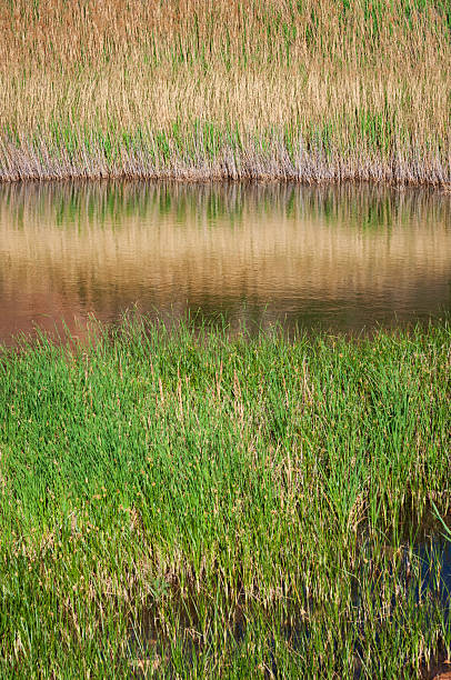 istock Bottomless Lakes State Park in New Mexico 2208946492