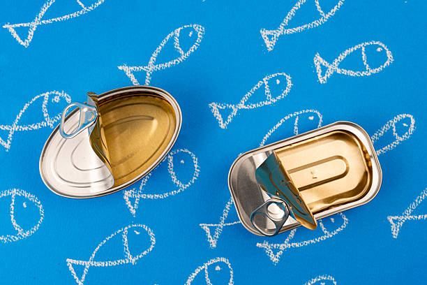 istock Chalk-drawn fish surrounding opened tin cans resting on azure surface 2208949458