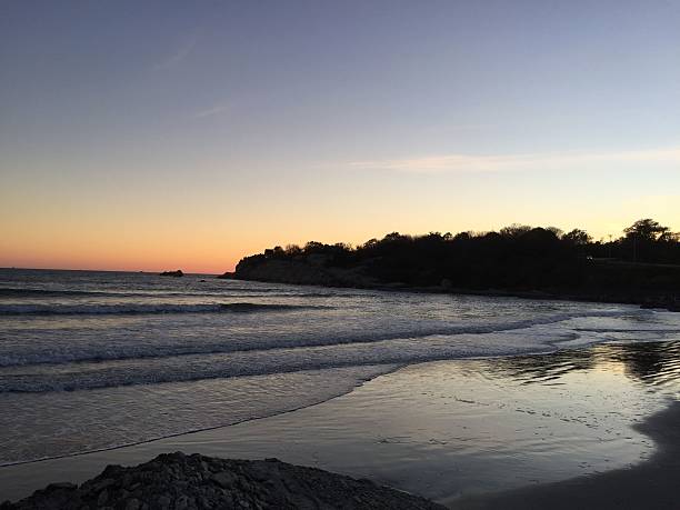 istock Serene beach sunset with gentle waves and tree silhouette. 2208952937