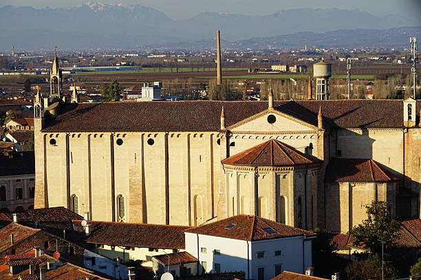 Aerial view of Montagnana, Veneto, Italy