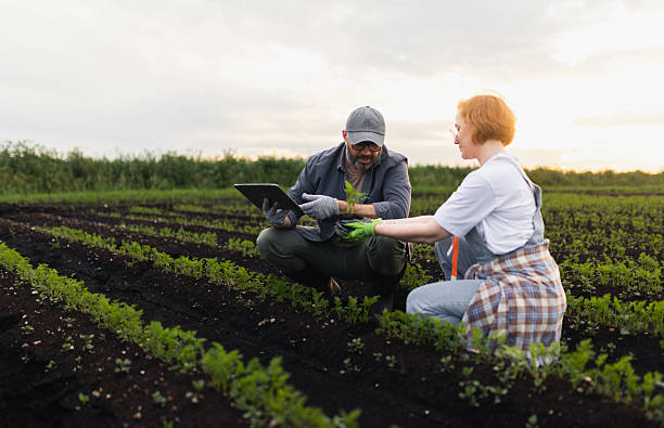 istock Farmers Analyzing Crop Health in a Field Using Modern Technology 2208953851